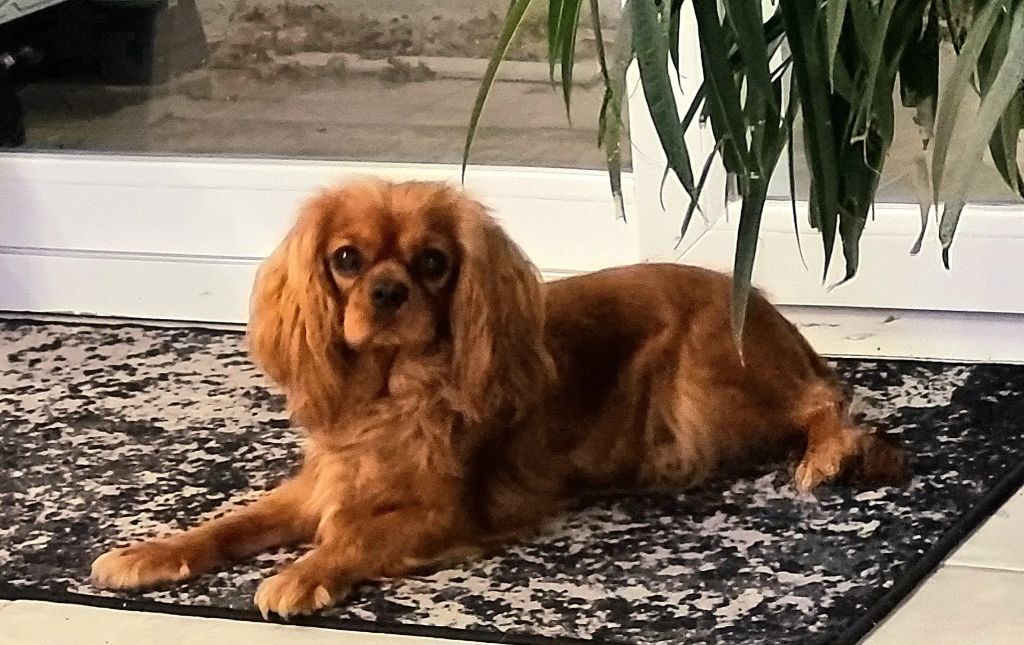 Une ultra chic lady Des Grands Reves Du Sud